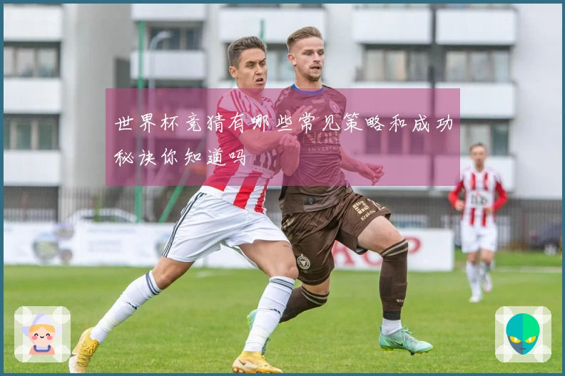 世界杯竞猜有哪些常见策略和成功秘诀你知道吗