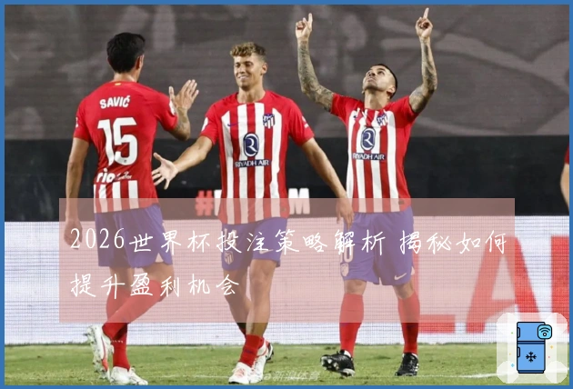 2026世界杯投注策略解析 揭秘如何提升盈利机会