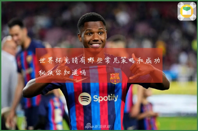 世界杯竞猜有哪些常见策略和成功秘诀你知道吗